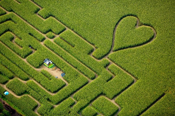 Labyrinth with a heart in the cornfield