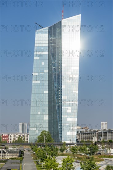 The new European Central Bank