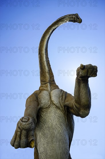 Brachiosaurs dinosaur