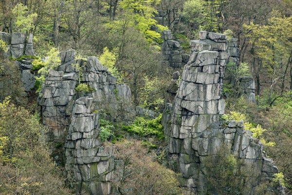 View from the Hexentanzplatz plateau onto pinnacles and forest in the Bode Gorge