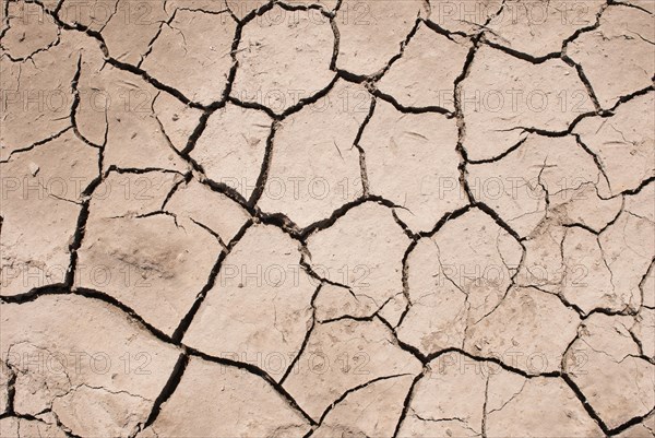 Dry cracks in the ground