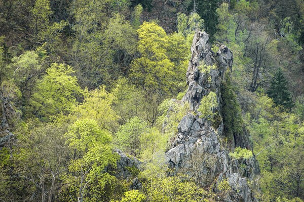 View from the Hexentanzplatz towards rocky cliffs and forest in the Bode Valley