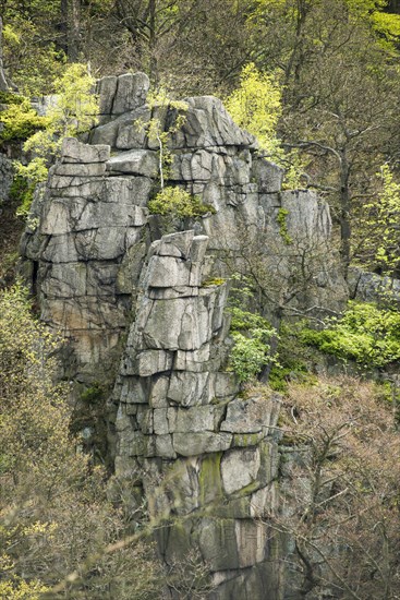 View from the Hexentanzplatz towards rocky cliffs and forest in the Bode Valley