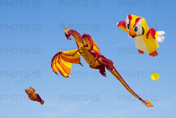 Kite festival in St. Peter-Ording