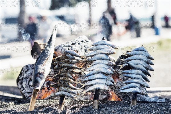 Grilled fish on the beaches of Malaga