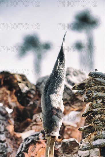 Grilled fish on the beaches of Malaga