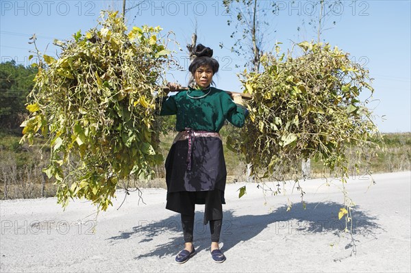 Dong woman in traditional dress carrying a traditional yoke