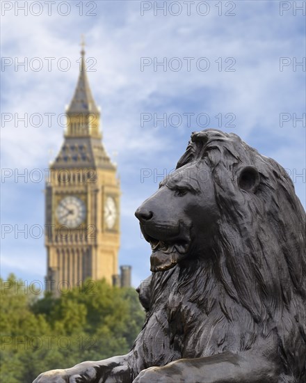 Lion sculpture