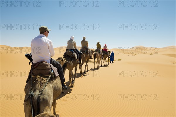 Tourists on camels in desert