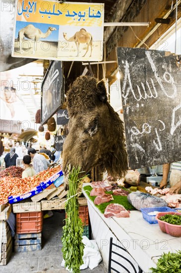 Butcher's with camel meat