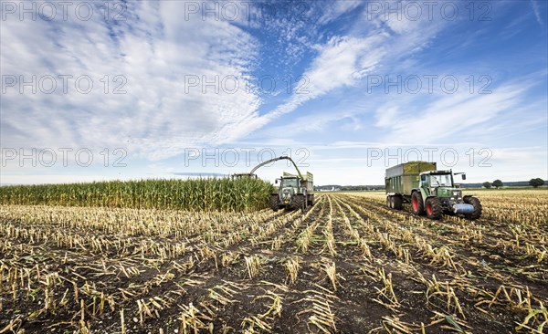 Maize chopper with tractor