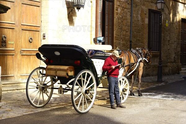 Horse-drawn carriage