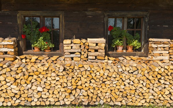 Firewood in front of Kappl-Hof