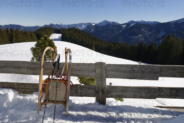 Sled
