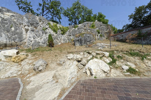 Remains of the Wittelsbach Castle to Worth