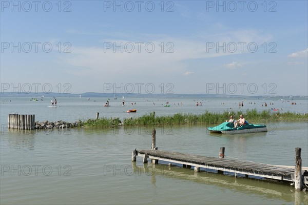 Bathers in water