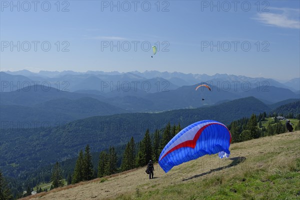 Paragliders