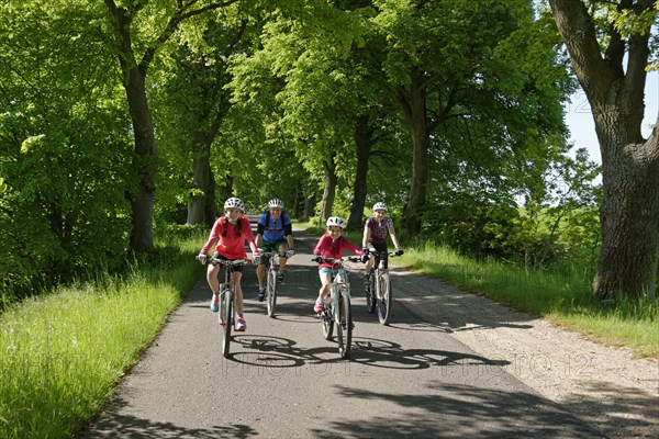 Family with children riding bicycles down avenue