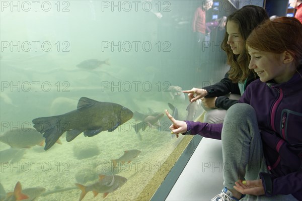 Girls in front of an aquarium with fish in Muritzeum