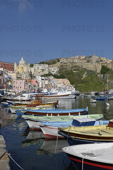 Fishing boats in the harbor