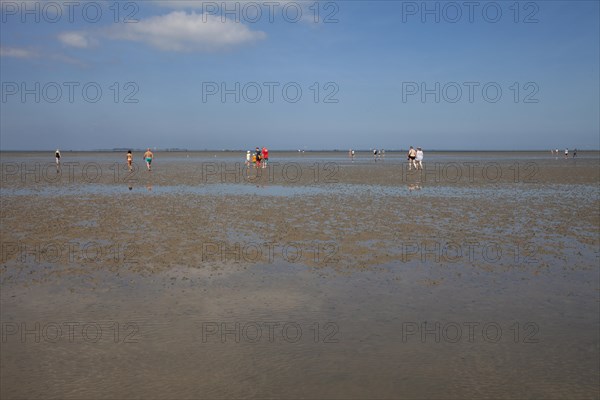 Walkers in the mudflats