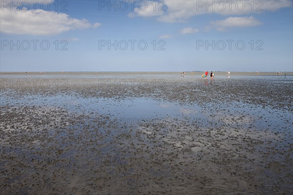 Walkers in the mudflats