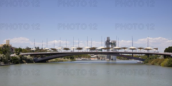 Cachorro Bridge