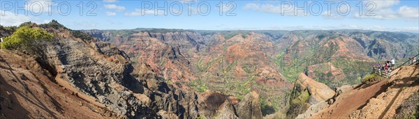 Waimea Canyon State Park or Grand Canyon of the Pacific