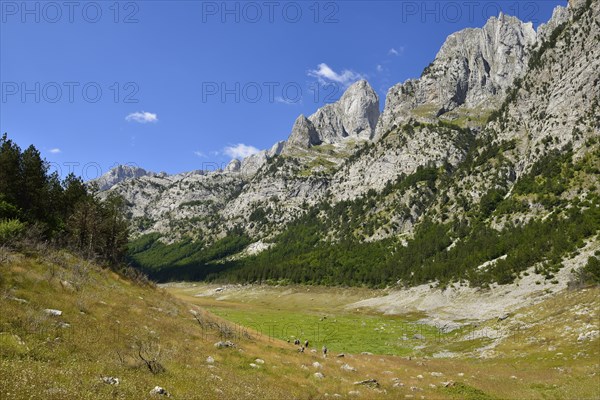 Group of hikers in the Ropojana valley