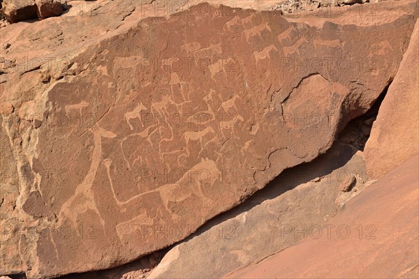 Neolithic petroglyphs of animals