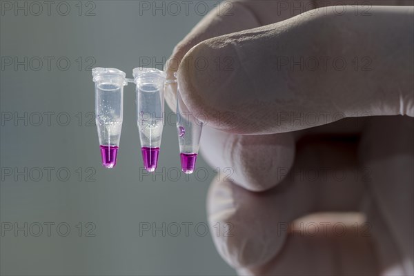PCR-Single caps for Polymerase Chain Reaction