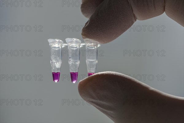 PCR-Single caps for Polymerase Chain Reaction