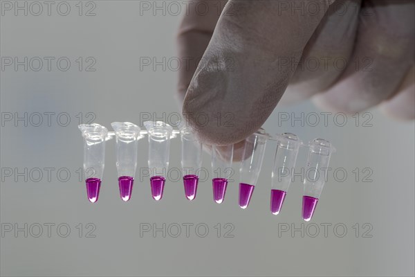 PCR-Single caps for Polymerase Chain Reaction