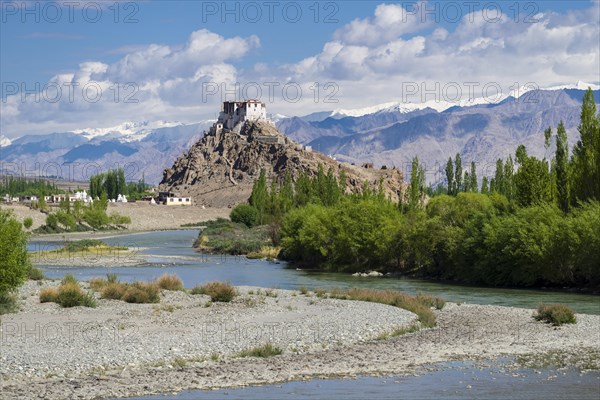 Stakna Gompa on a hill above the Indus Valley and surrounded by green trees