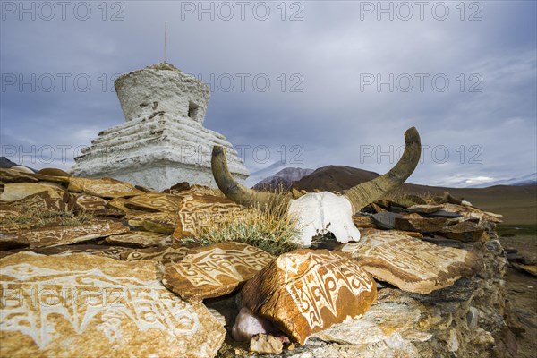 A yak skull with the engraved mantra "Om Mani Padme" Hum and Mani stones at a stupa at Tso Kar