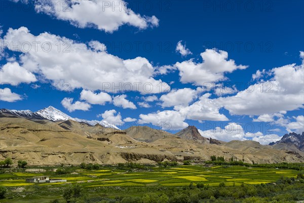 Barren landscape