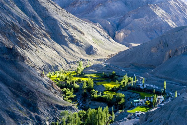 Barren landscape and green fields beside the village