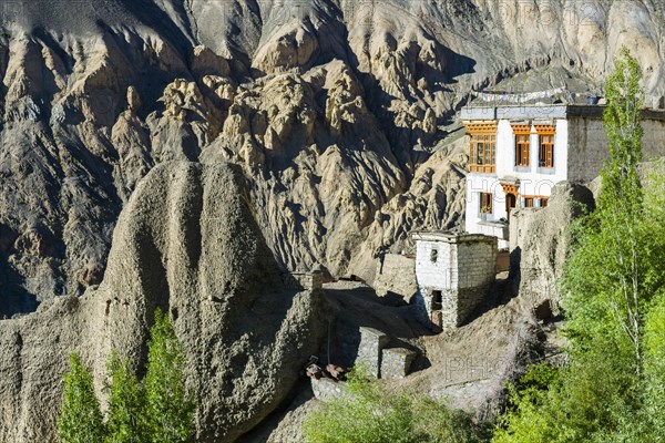 Part of Lamayuru Gompa