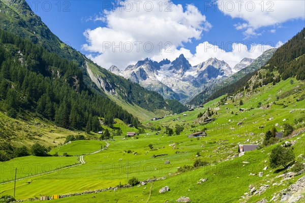 High altitude landscape with huts and green meadows at Sustenpass