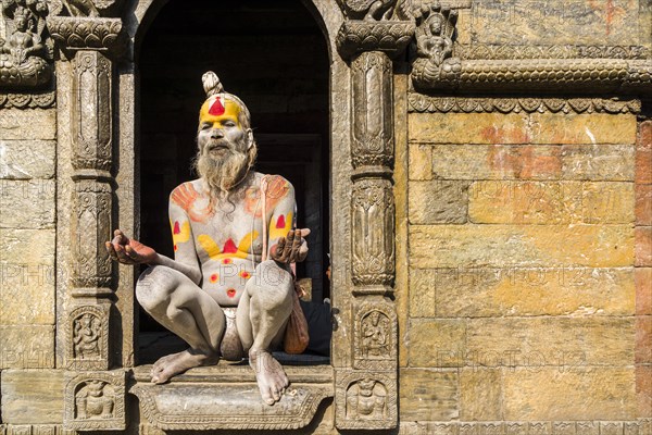 Naked Sadhu