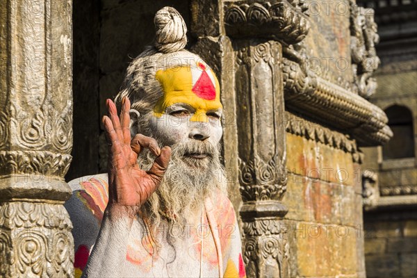 The portrait of a Sadhu