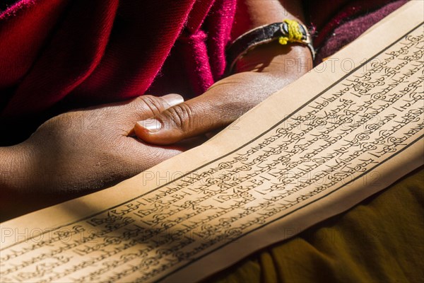 A monk is reading a prayer book inside the monastery Thupten Chholing Gompa