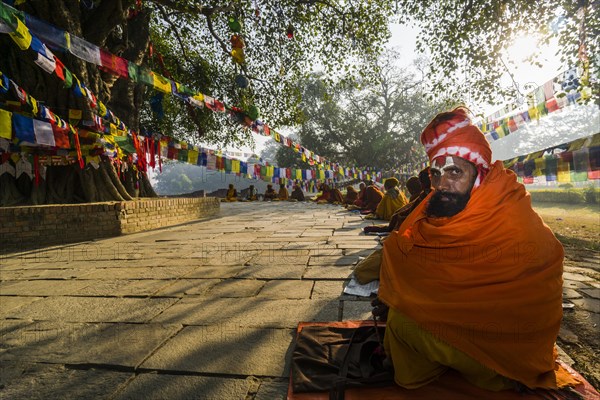 Sadhus