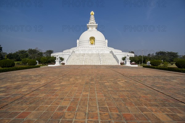 Japanese Peace Pagoda