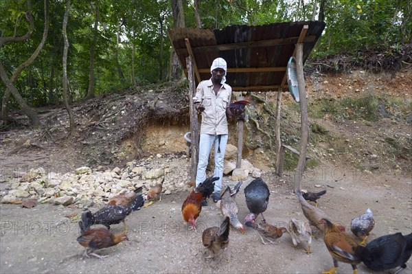 Man feeding his chickens