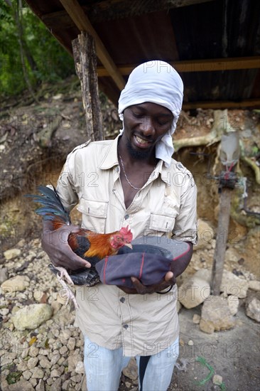 Man feeding a rooster