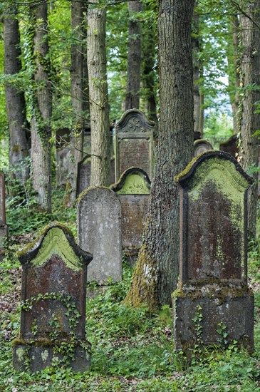 Jewish cemetery