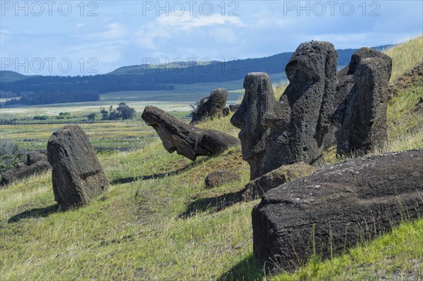 Moais in Rano Raraku