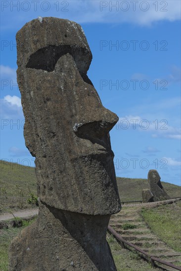 Moai in Rano Raraku