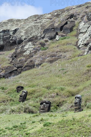 Moais on the flanks of Rano Raraku volcano